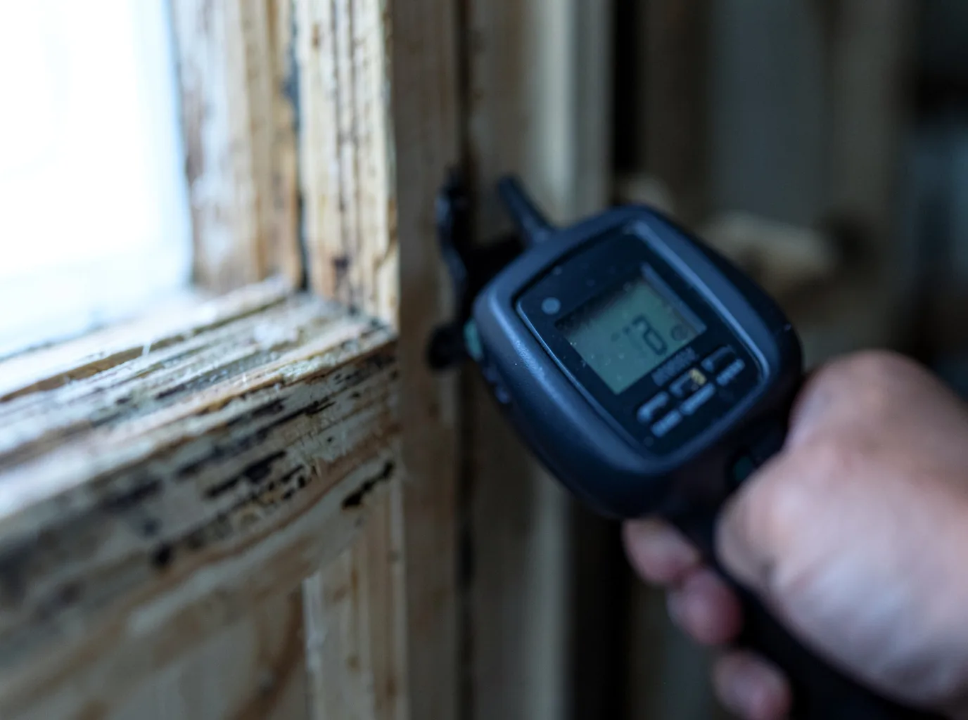 Commercial Water Damage Restoration in Cebolla, NM
